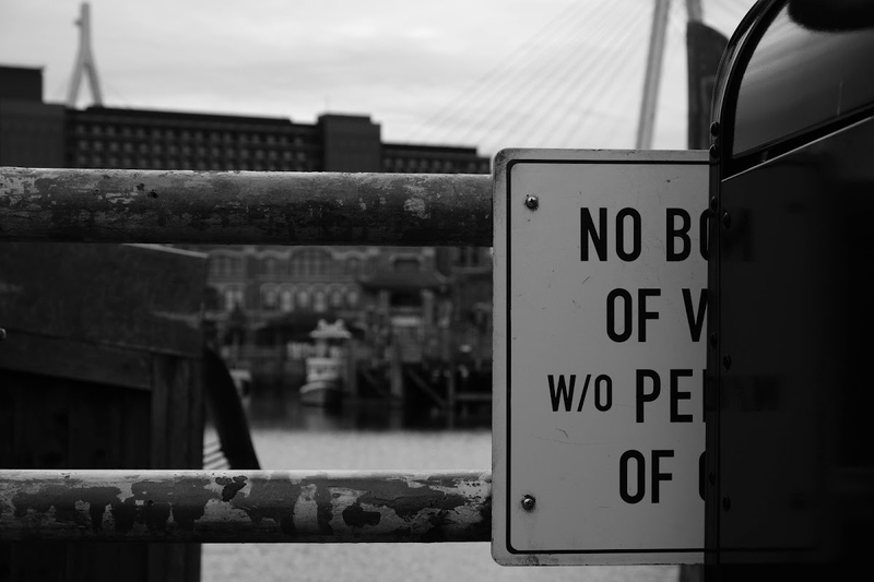 f:id:dendenmushes:20200815105029j:plain f:id:dendenmushes:20200815105029j:plain