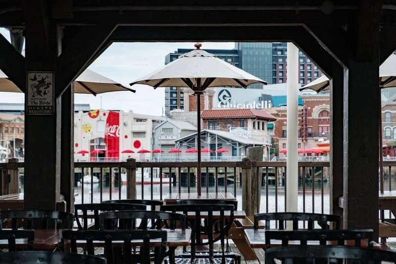 f:id:dendenmushes:20200815105101j:plain f:id:dendenmushes:20200815105101j:plain