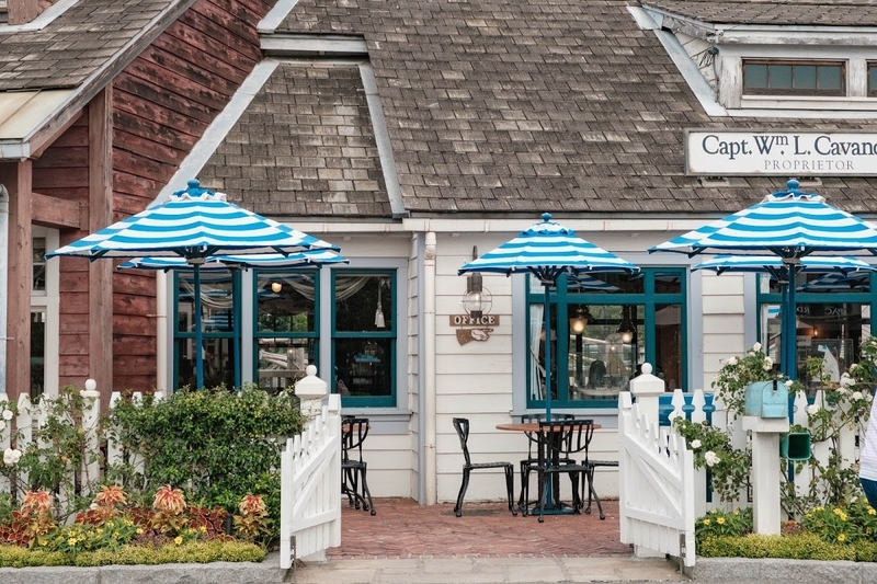 f:id:dendenmushes:20200815105110j:plain f:id:dendenmushes:20200815105110j:plain