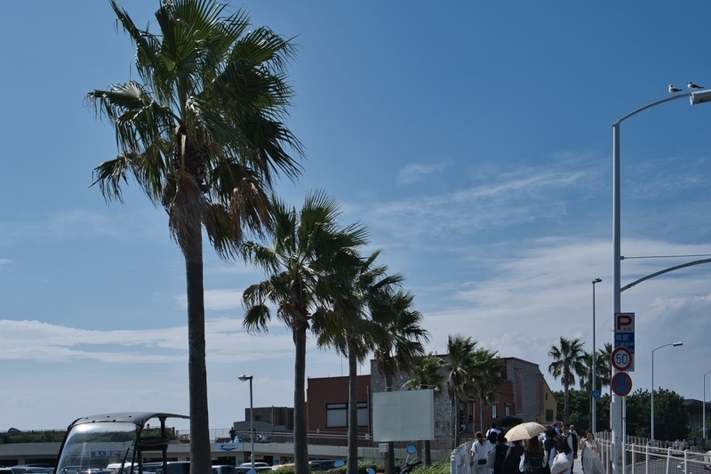 f:id:dendenmushes:20200815110814j:plain