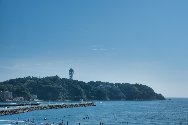 f:id:dendenmushes:20200815110822j:plain