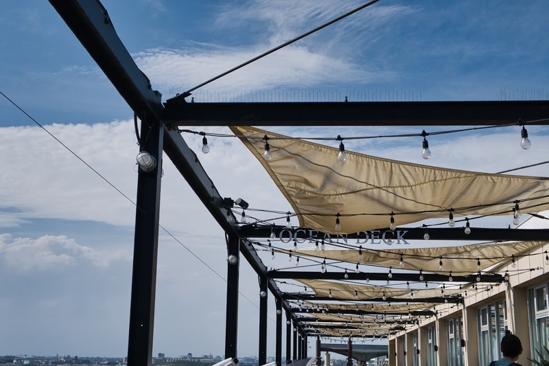 f:id:dendenmushes:20200815110836j:plain