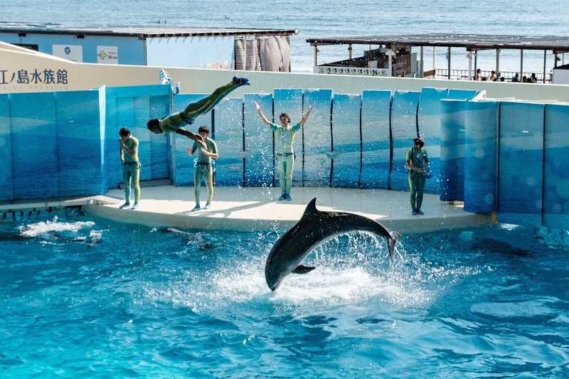 f:id:dendenmushes:20200815110849j:plain