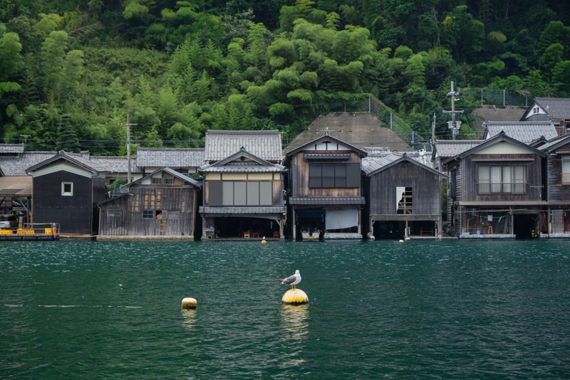 f:id:dendenmushes:20200815155455j:plain f:id:dendenmushes:20200815155455j:plain