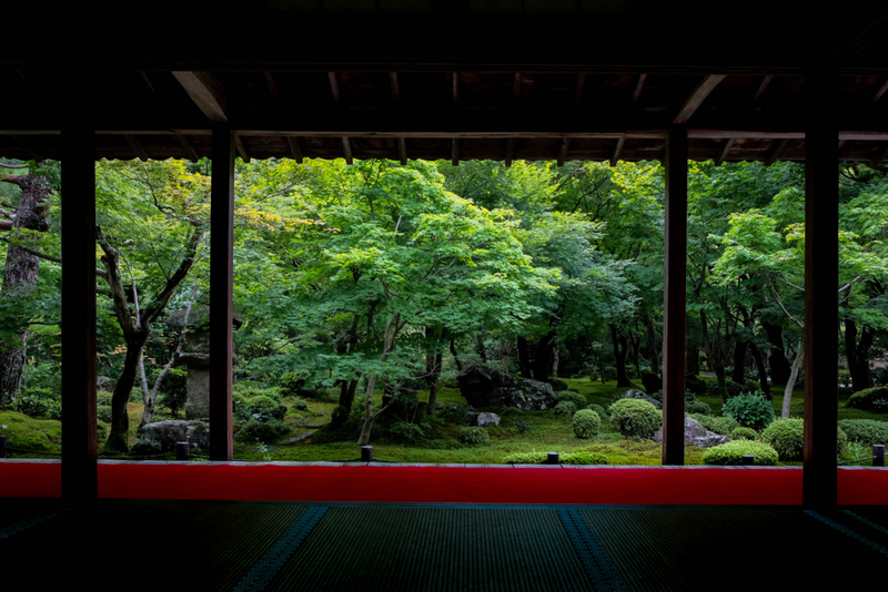 f:id:dendenmushes:20200815155502j:plain f:id:dendenmushes:20200815155502j:plain