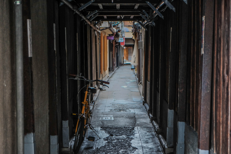 f:id:dendenmushes:20200815155512j:plain f:id:dendenmushes:20200815155512j:plain