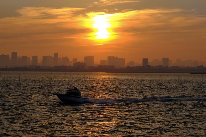 f:id:dendenmushes:20200815155614j:plain f:id:dendenmushes:20200815155614j:plain