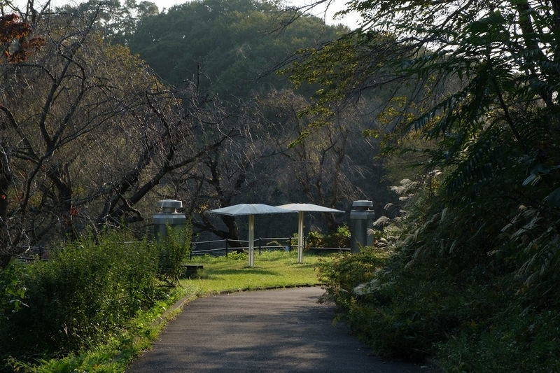 f:id:dendenmushes:20200815155619j:plain f:id:dendenmushes:20200815155619j:plain