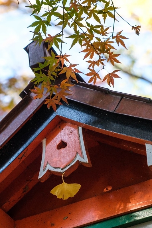 f:id:dendenmushes:20200815155634j:plain f:id:dendenmushes:20200815155634j:plain