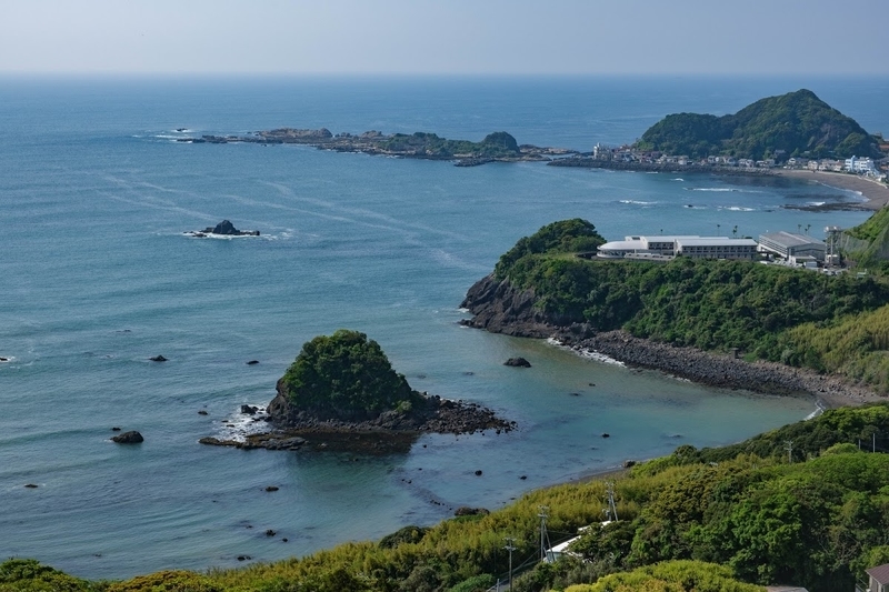 f:id:dendenmushes:20200815161519j:plain f:id:dendenmushes:20200815161519j:plain