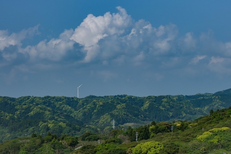 f:id:dendenmushes:20200815161537j:plain f:id:dendenmushes:20200815161537j:plain