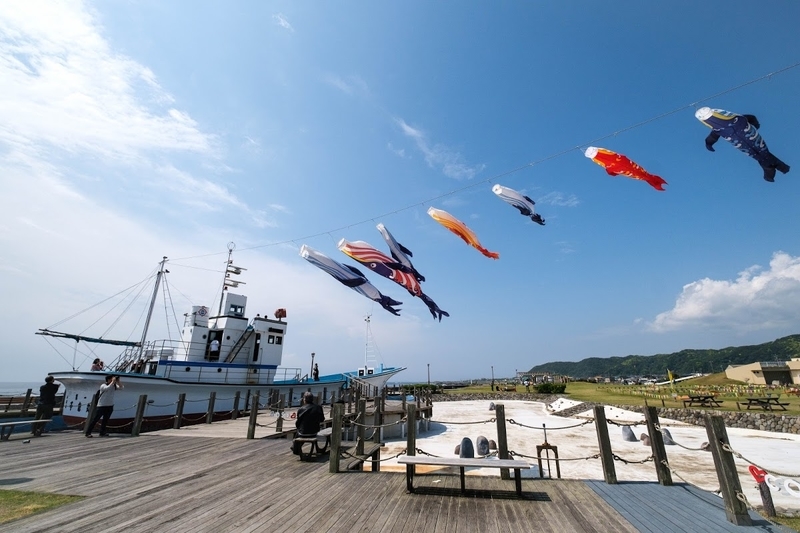 f:id:dendenmushes:20200815161601j:plain f:id:dendenmushes:20200815161601j:plain