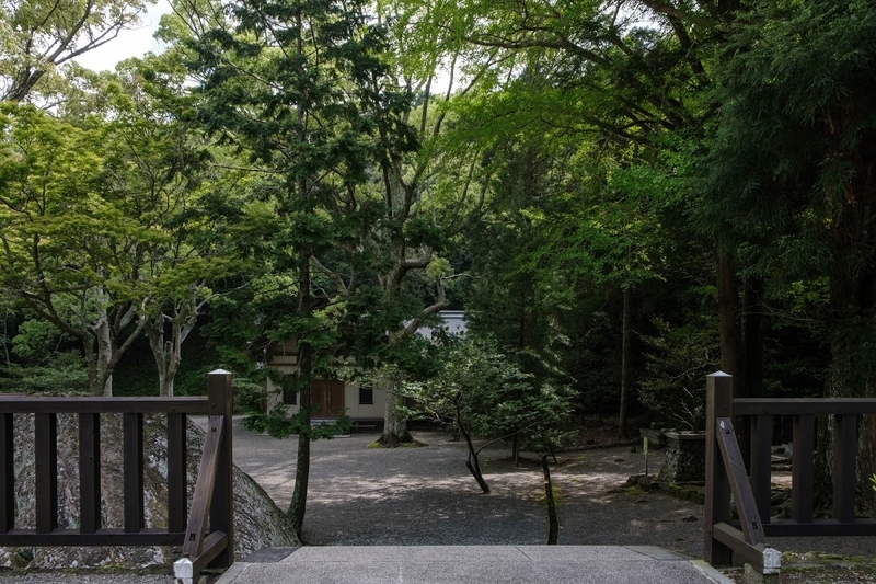 f:id:dendenmushes:20200815161621j:plain f:id:dendenmushes:20200815161621j:plain