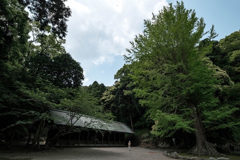 f:id:dendenmushes:20200815161625j:plain f:id:dendenmushes:20200815161625j:plain