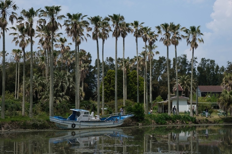 f:id:dendenmushes:20200815161635j:plain f:id:dendenmushes:20200815161635j:plain