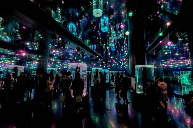 f:id:dendenmushes:20200829192046j:plain