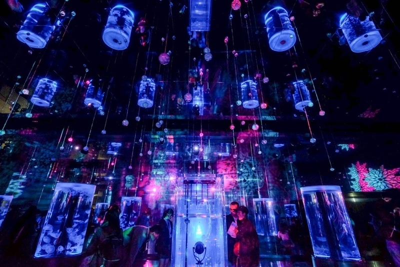 f:id:dendenmushes:20200829192059j:plain