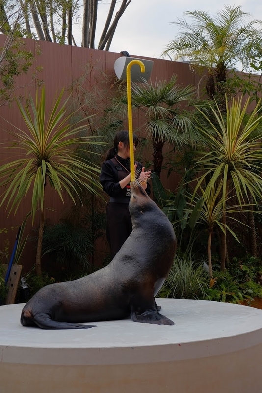 f:id:dendenmushes:20200829192105j:plain