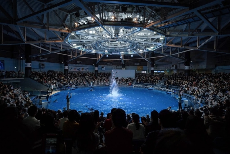 f:id:dendenmushes:20200829192114j:plain