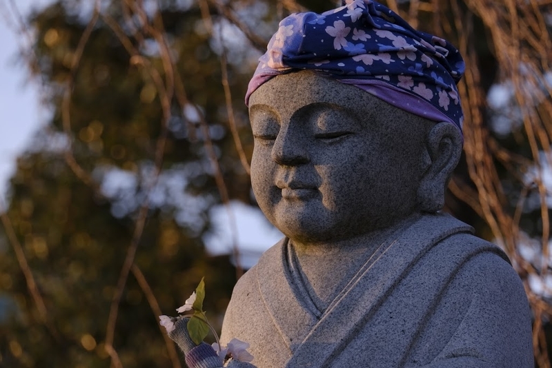 f:id:dendenmushes:20200830140900j:plain