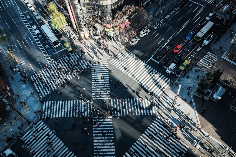 f:id:dendenmushes:20200830141513j:plain