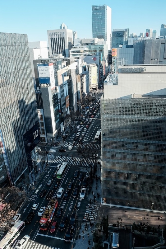 f:id:dendenmushes:20200830141524j:plain