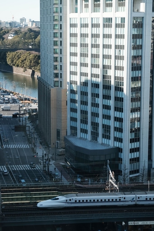 f:id:dendenmushes:20200830141533j:plain