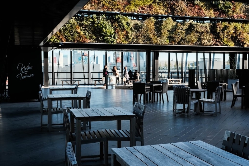 f:id:dendenmushes:20200830141546j:plain