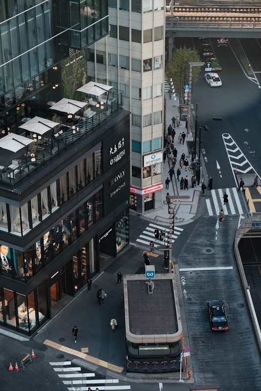 f:id:dendenmushes:20200830141552j:plain