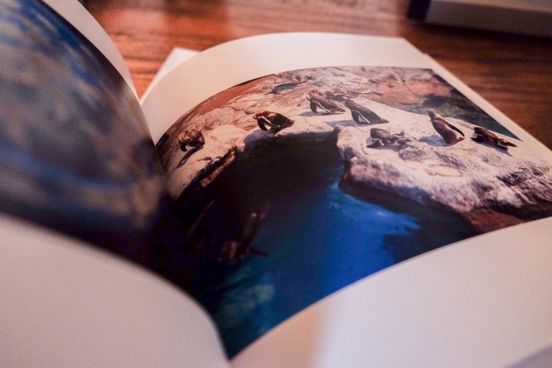 f:id:dendenmushes:20200830150724j:plain