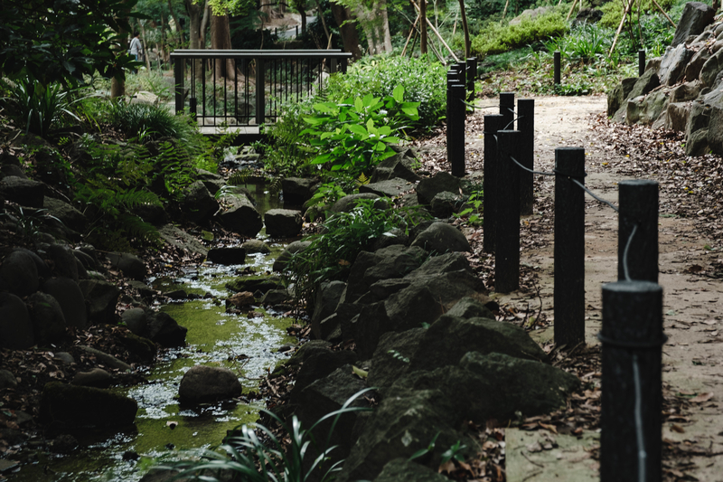 f:id:dendenmushes:20200922181325j:plain