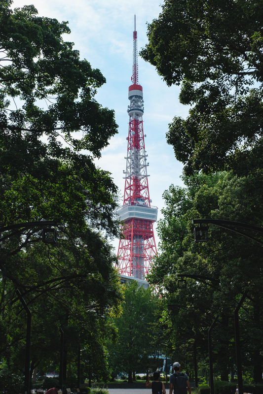 f:id:dendenmushes:20200922181625j:plain