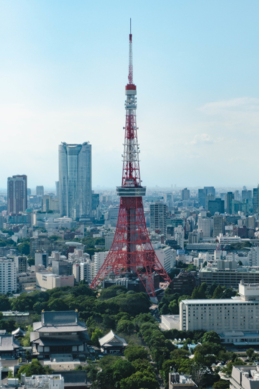 f:id:dendenmushes:20200922181919j:plain