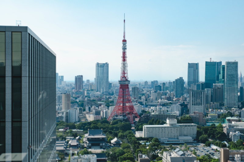 f:id:dendenmushes:20200922181939j:plain