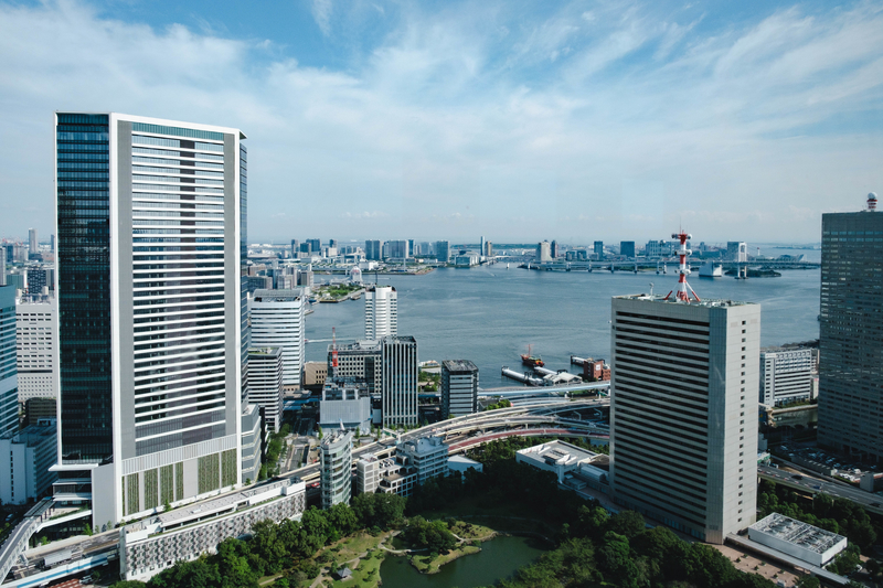 f:id:dendenmushes:20200922182003j:plain