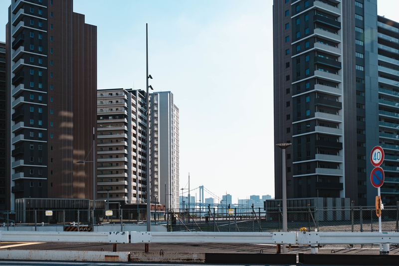 f:id:dendenmushes:20200922182032j:plain