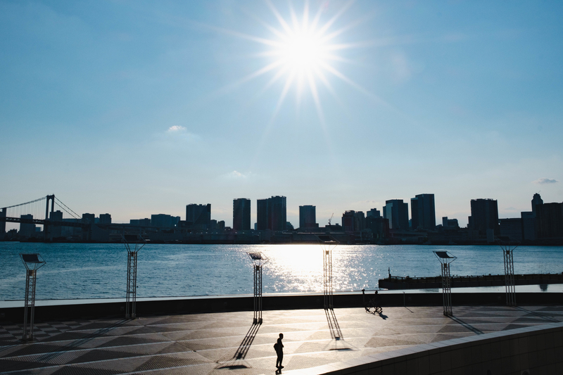 f:id:dendenmushes:20200922182213j:plain