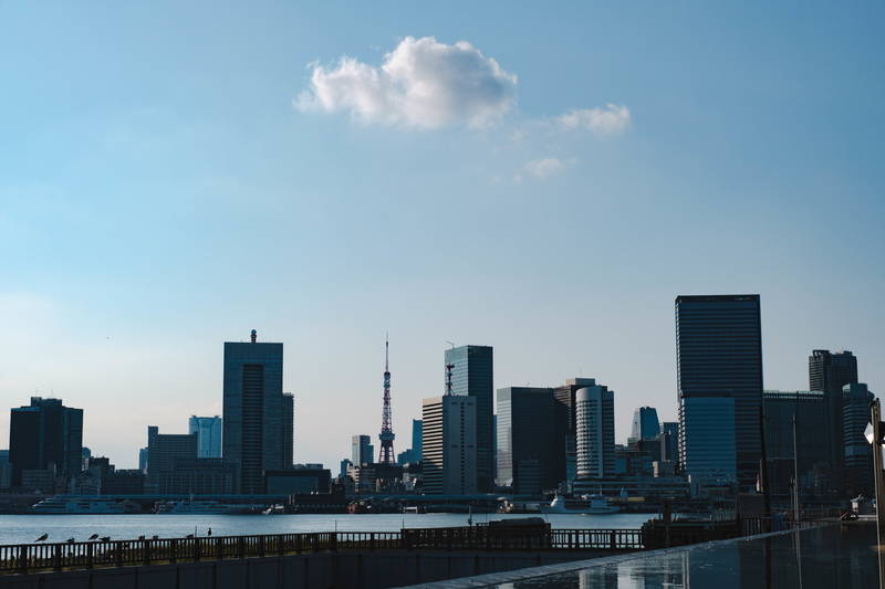 f:id:dendenmushes:20200922182236j:plain