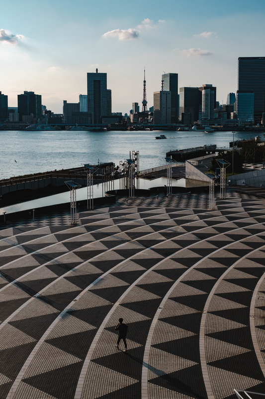 f:id:dendenmushes:20200922182345j:plain