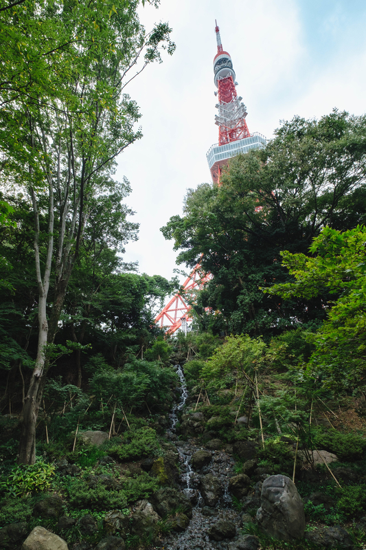 f:id:dendenmushes:20200922184643j:plain