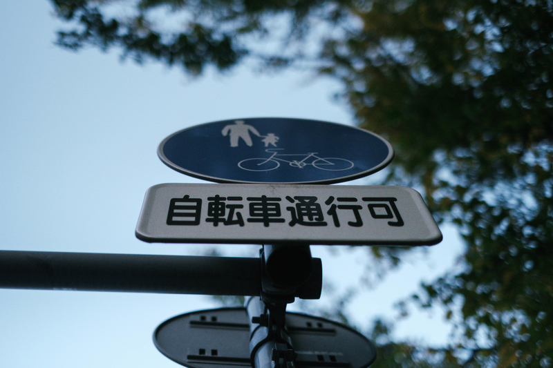 f:id:dendenmushes:20201130164041j:plain