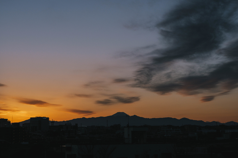 f:id:dendenmushes:20201221121343j:plain