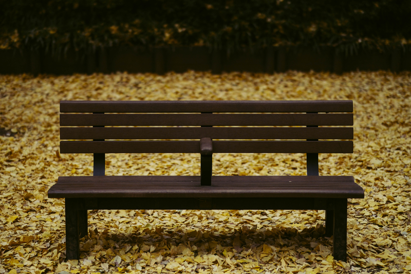 f:id:dendenmushes:20201221121547j:plain