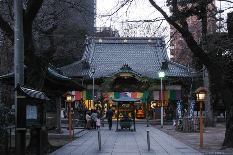 f:id:dendenmushes:20201227121259j:plain