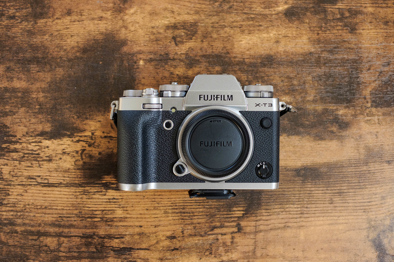 f:id:dendenmushes:20201228151541j:plain