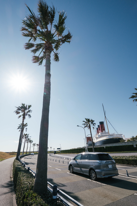 f:id:dendenmushes:20210109161828j:plain