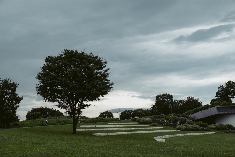 f:id:dendenmushes:20210109161930j:plain