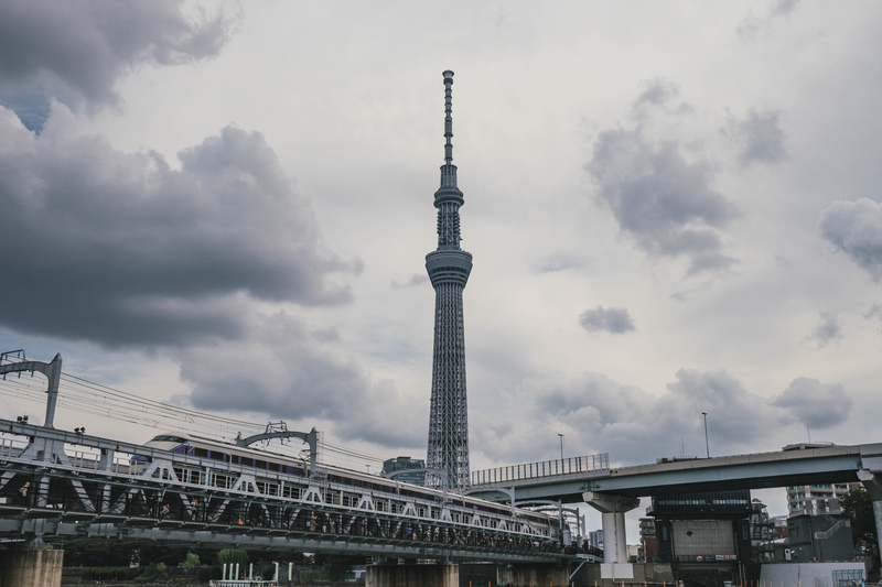 f:id:dendenmushes:20210109162031j:plain