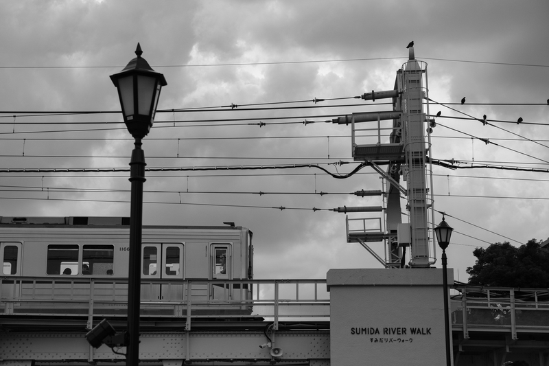 f:id:dendenmushes:20210109162116j:plain