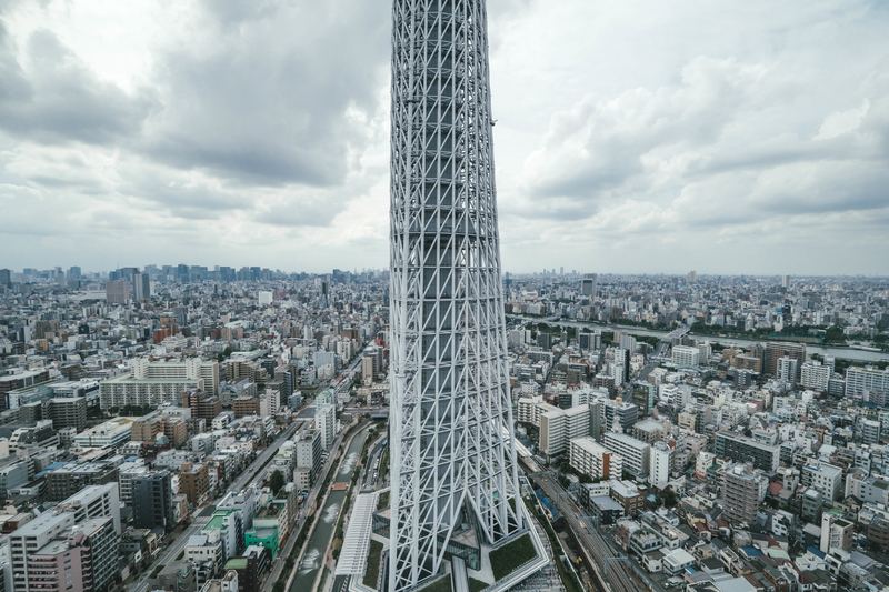 f:id:dendenmushes:20210109162203j:plain